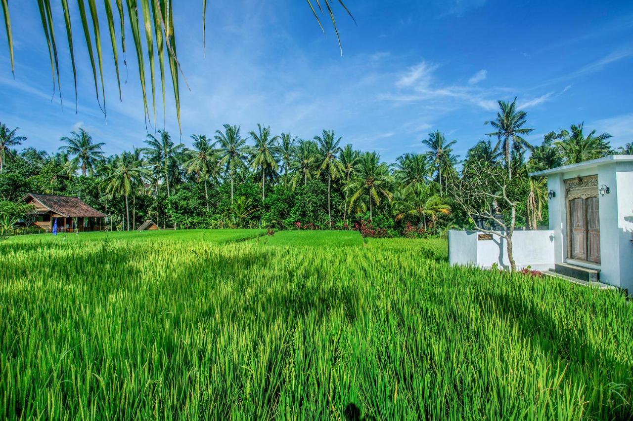 Tamyang Ubud Villas Zewnętrze zdjęcie